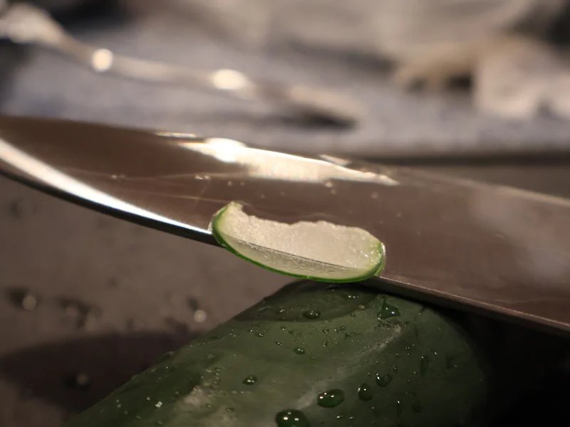 Edge Revival is a knife sharpening store in Springfield, Massachusetts providing blade services.